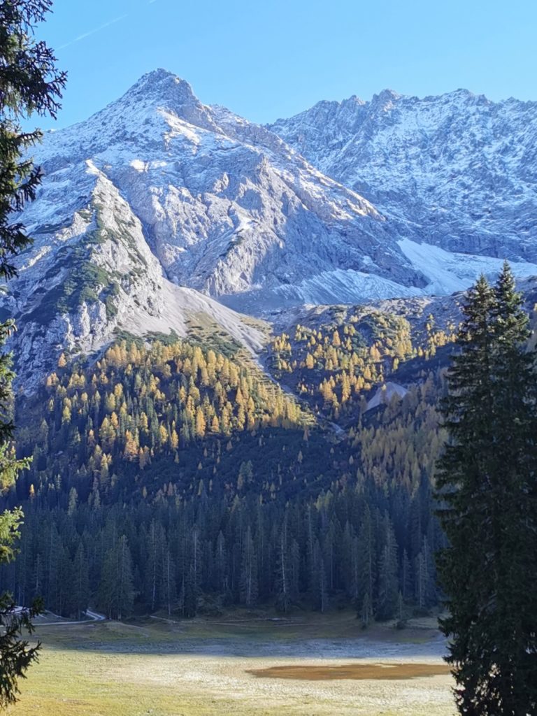 Wo ist der Igelsee? - Im Herbst bleibt maximal eine kleine Lacke übrig